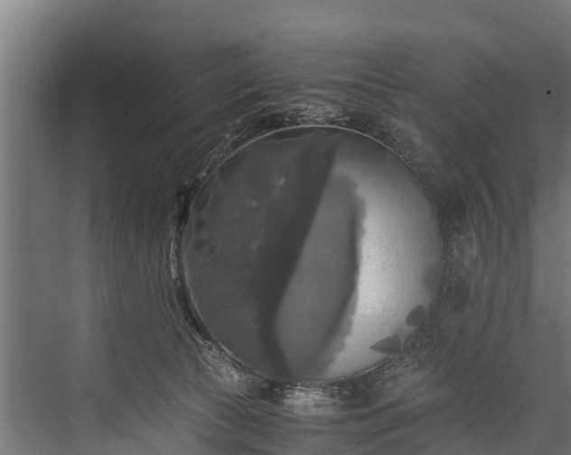 X0000076310177200610061339