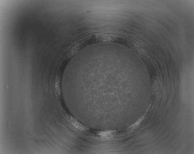 X0000076310178200610061339