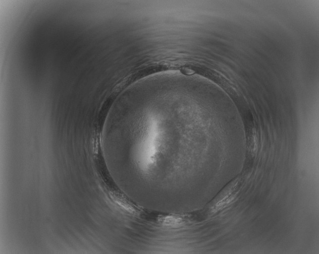 X0000076310180200610061339