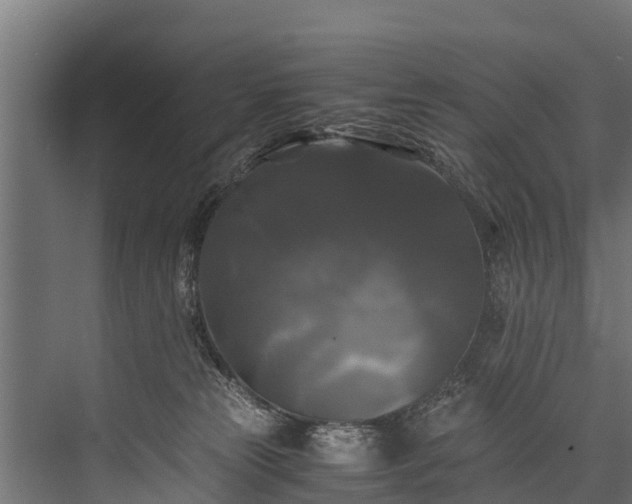 X0000076310181200610061339