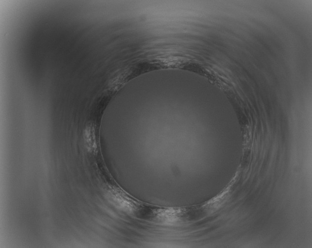 X0000076310182200610061339