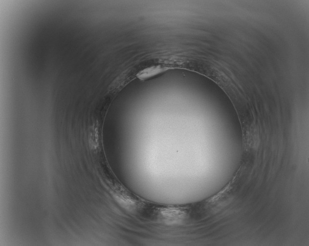 X0000076310183200610061339