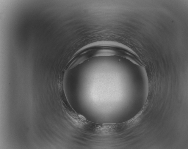 X0000076310186200610061340