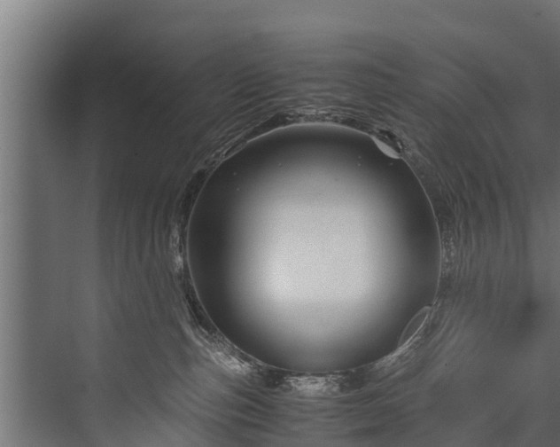 X0000076310187200610061340