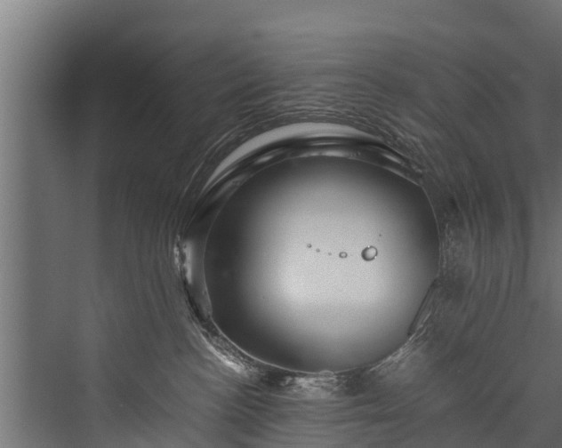 X0000076310188200610061340