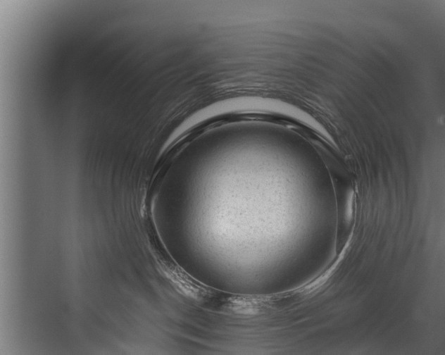 X0000076310190200610061340