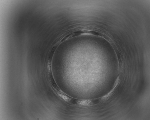 X0000076310191200610061340