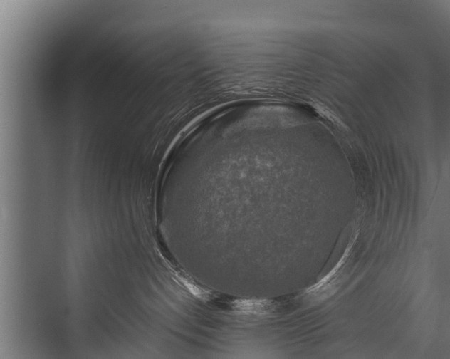 X0000076310192200610061340