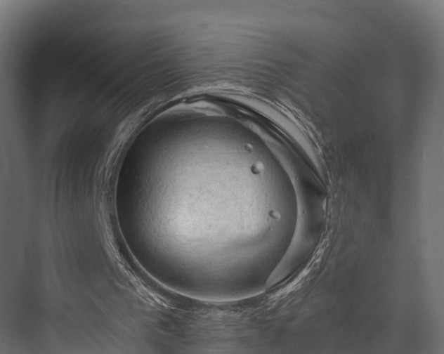 X0000076310193200610061339