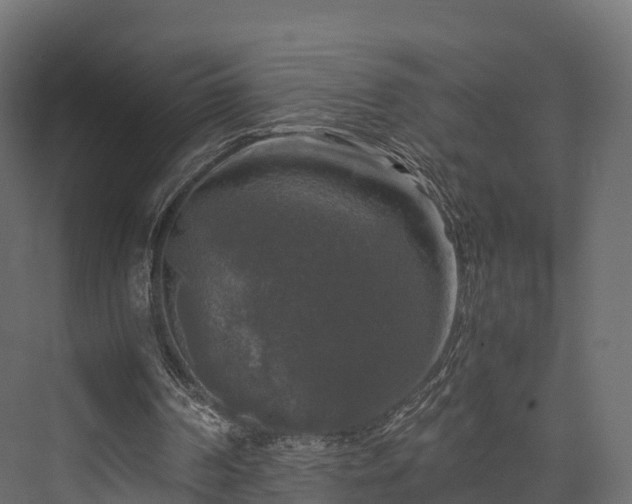 X0000076310194200610061339