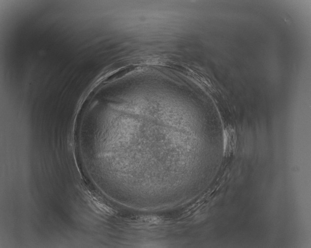 X0000076310195200610061339