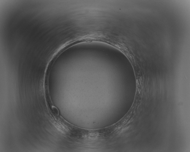 X0000076310196200610061339