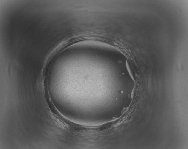 X0000076310197200610061339