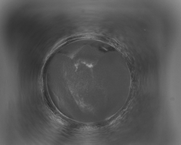 X0000076310198200610061339