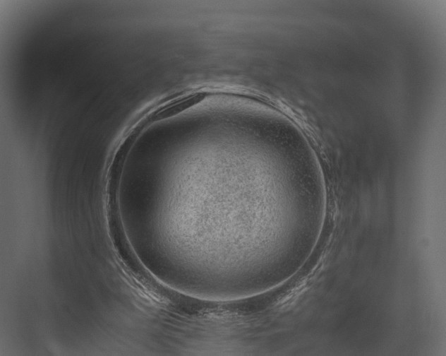 X0000076310199200610061339