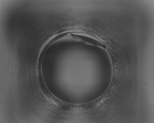 X0000076310200200610061339