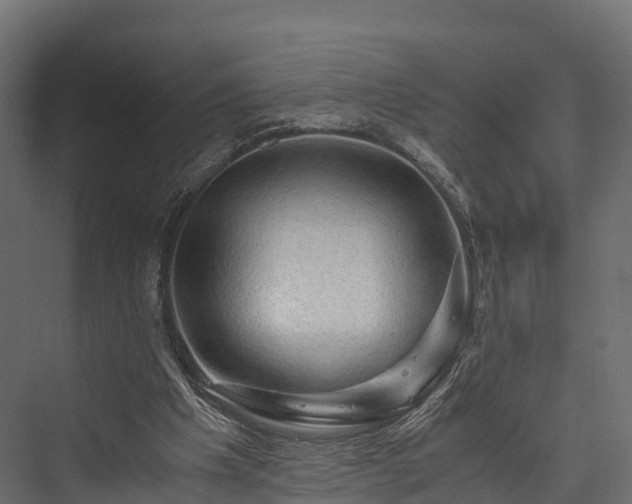 X0000076310201200610061339