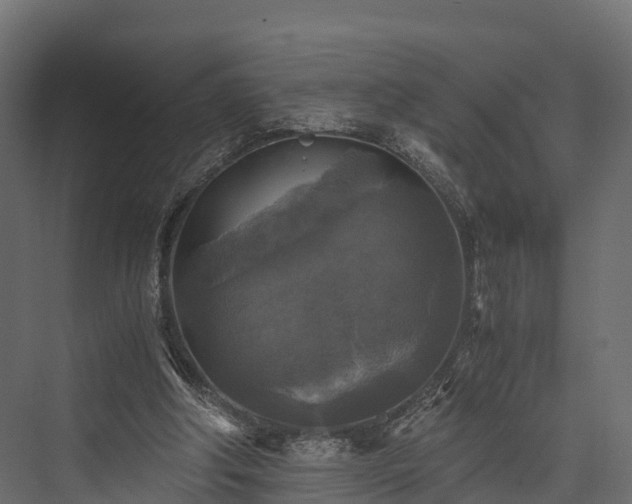 X0000076310202200610061339