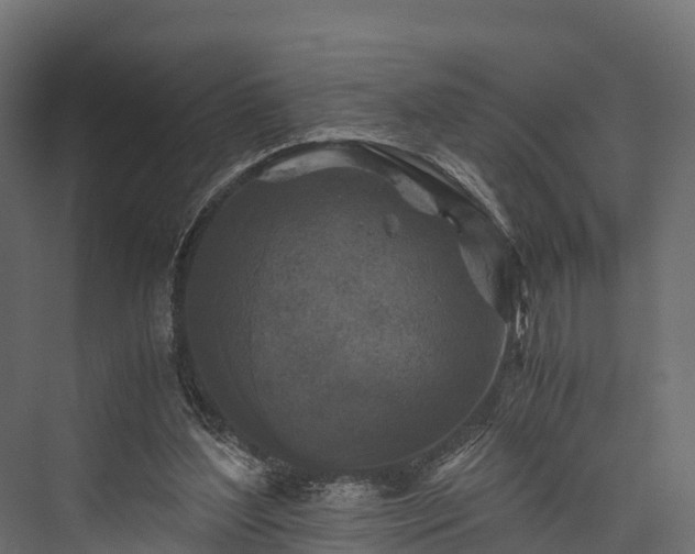 X0000076310204200610061339