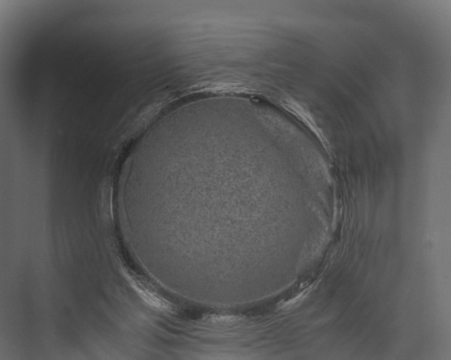 X0000076310205200610061339