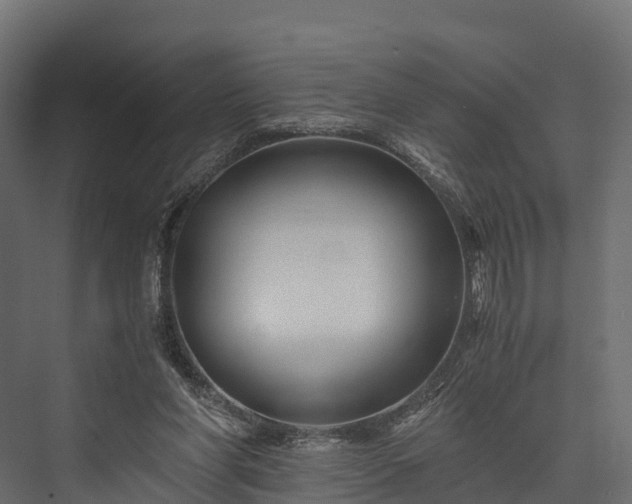 X0000076310206200610061339