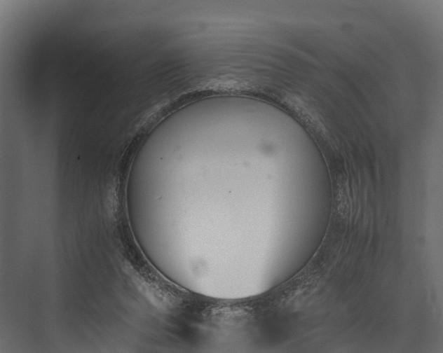 X0000076310208200610061339