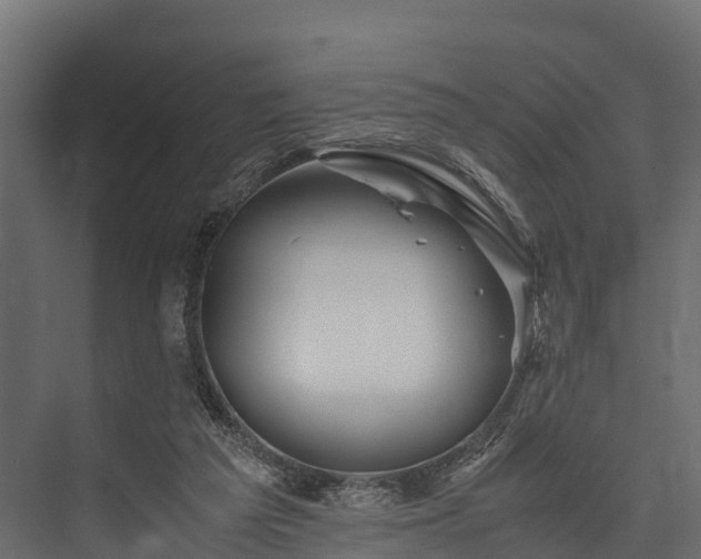 X0000076310209200610061339