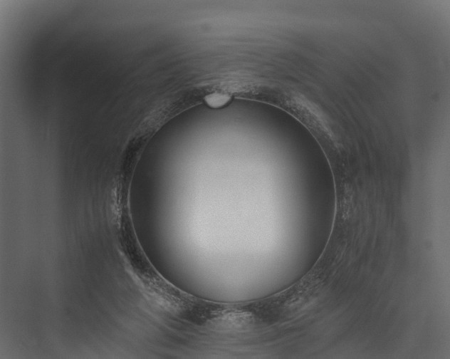 X0000076310210200610061339