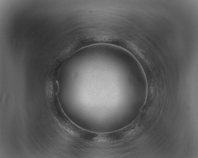 X0000076310211200610061338