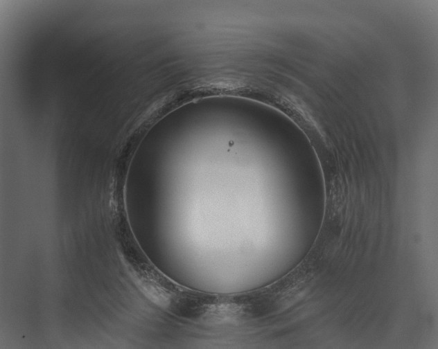 X0000076310212200610061338