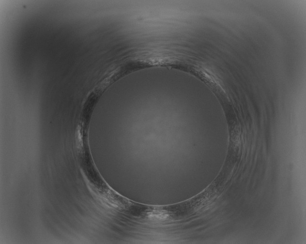 X0000076310214200610061338