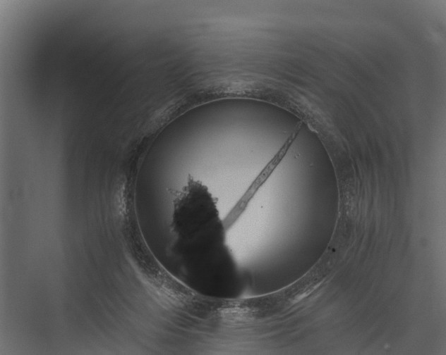 X0000076310216200610061338