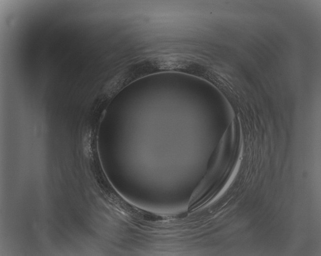 X0000076310219200610061338