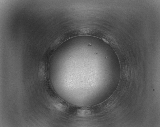 X0000076310220200610061338