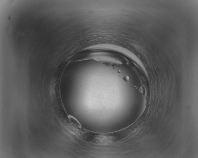 X0000076310221200610061338