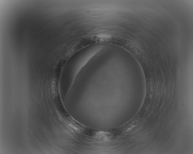 X0000076310222200610061338