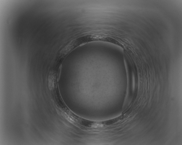 X0000076310227200610061338