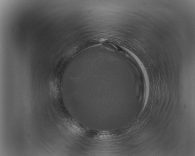 X0000076310228200610061338