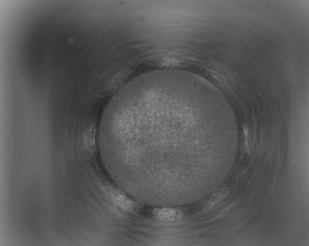 X0000076310230200610061338