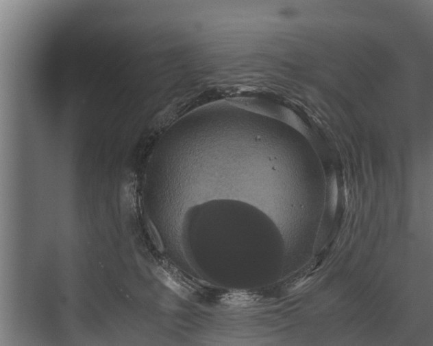 X0000076310231200610061338