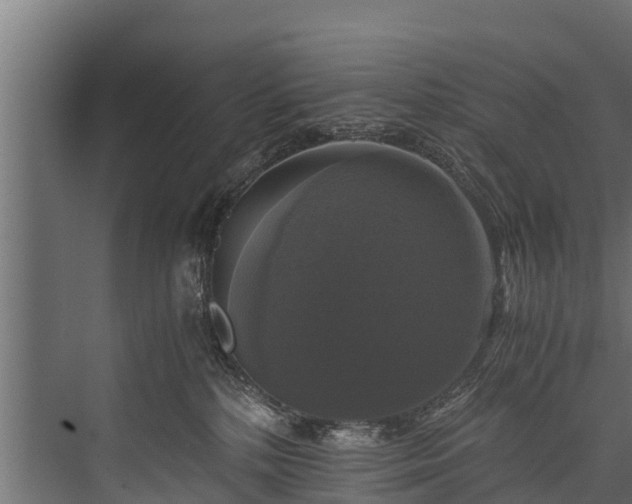 X0000076310232200610061338