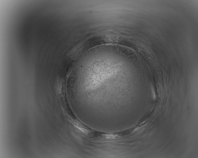 X0000076310233200610061338