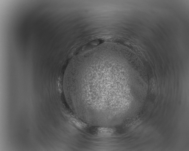 X0000076310234200610061338