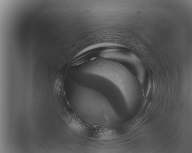 X0000076310235200610061338