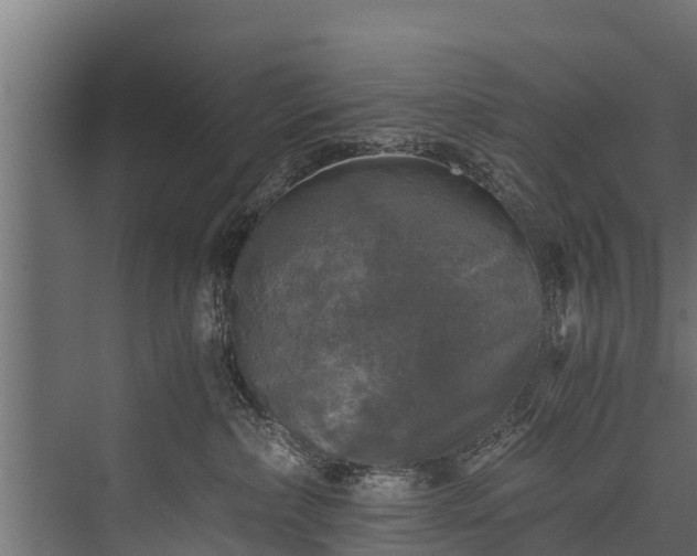 X0000076310236200610061338