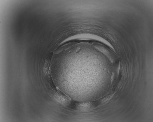 X0000076310237200610061338