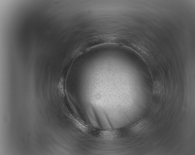 X0000076310238200610061338