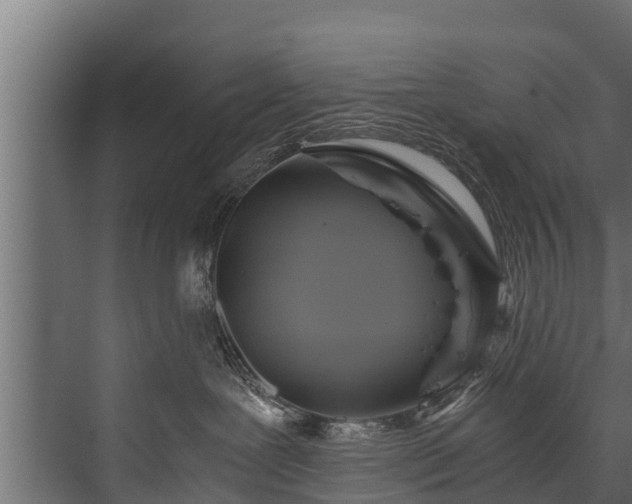 X0000076310239200610061338