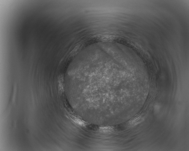 X0000076310240200610061338