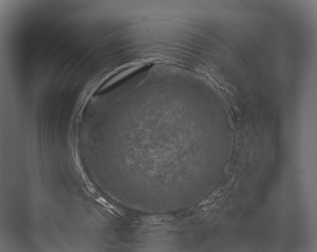 X0000076310241200610061337